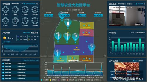 物联网智慧农业 尽在“掌”握——“掌谷网络”赋能现代农业新范式